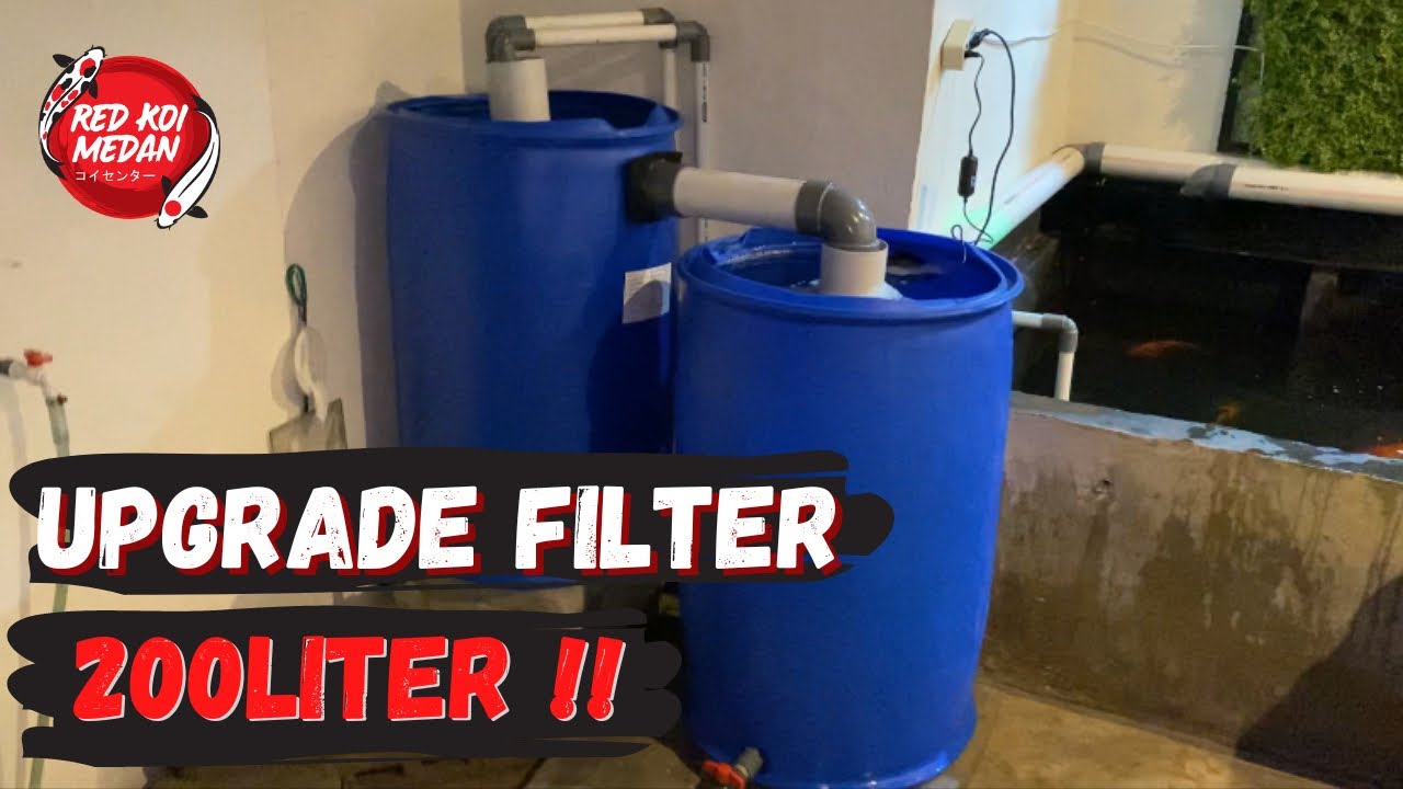 DIY UPGRADE TONG FILTER 200LITER KOLAM MINIMALIS IKAN KOI MAKIN SEHAT | FISH #7