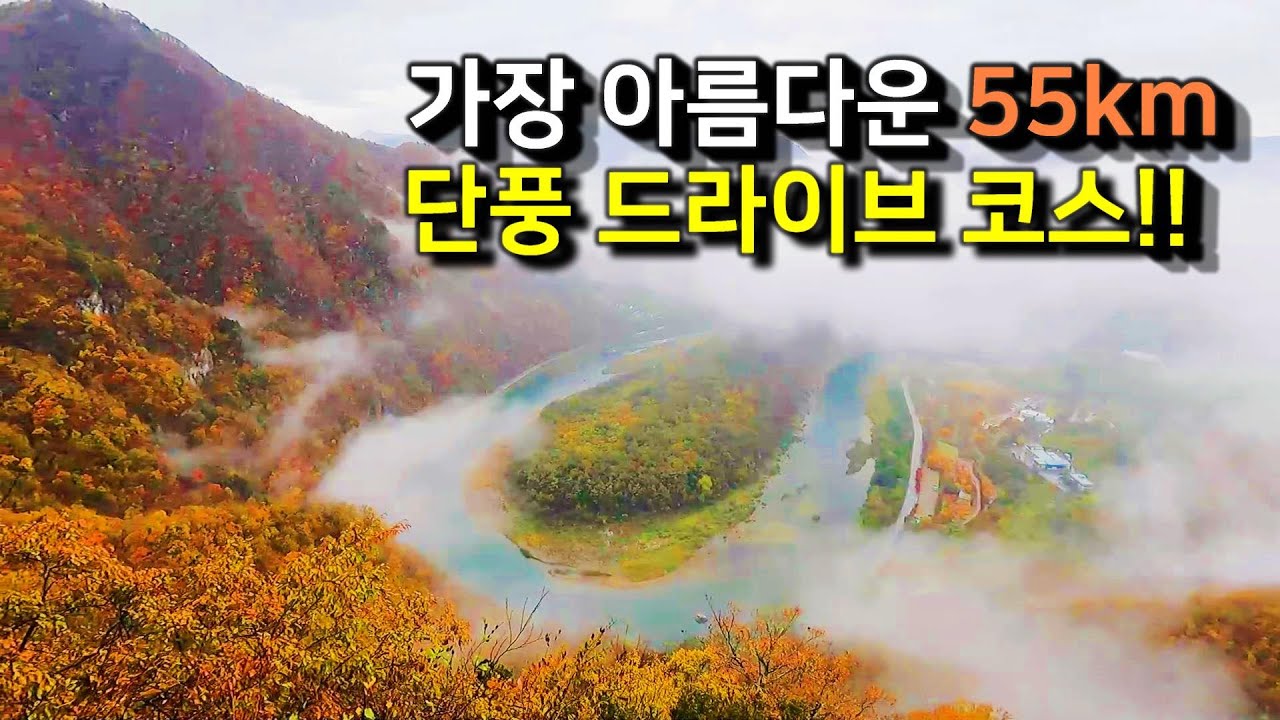 전국 제일의 55km 단풍 드라이브 코스를 소개합니다. 강원도 정선의 동강과 계곡을 따라 달리는 내내 탄성을 자아냅니다.