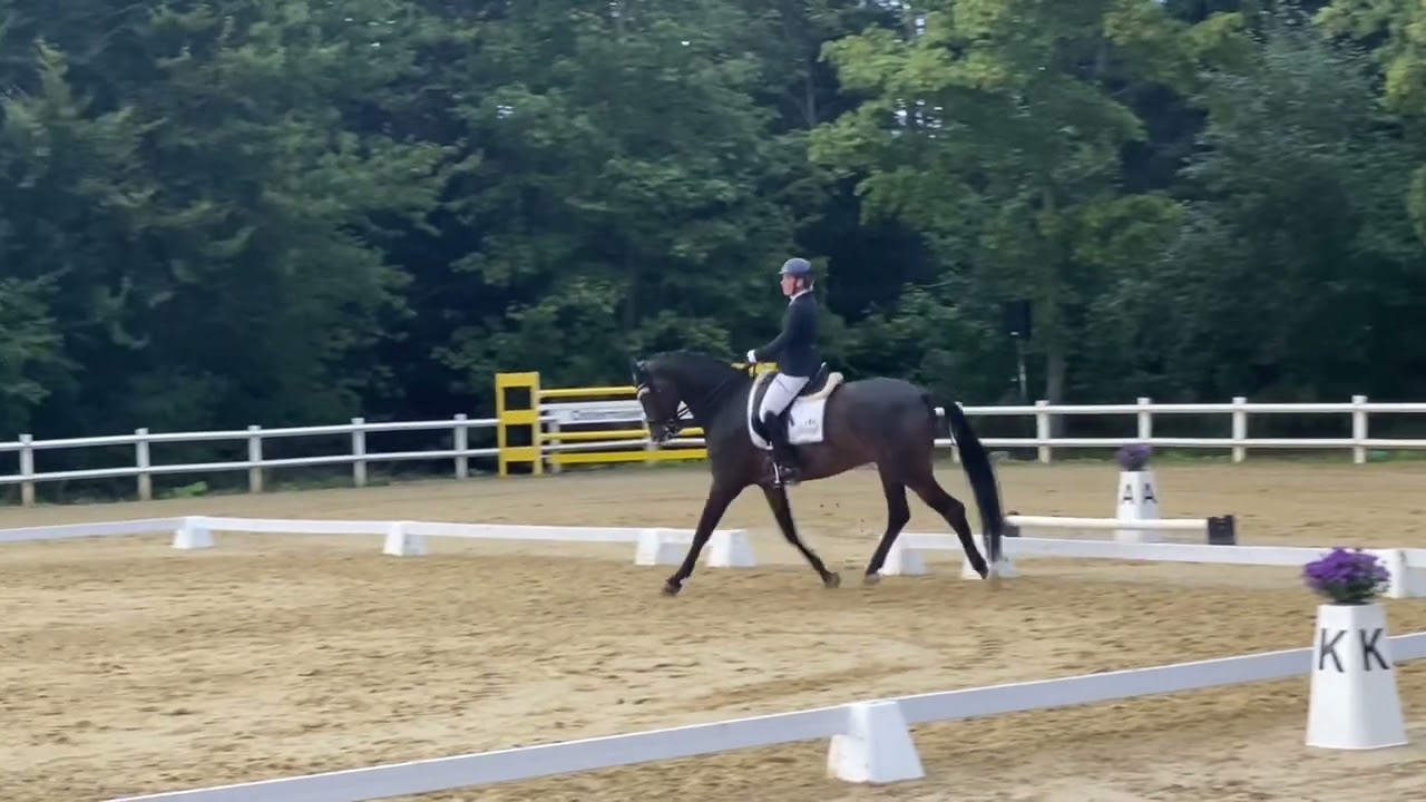 Just a Dream 3. Platz mit 6,9 in der M3 in Nordstetten 09/2022