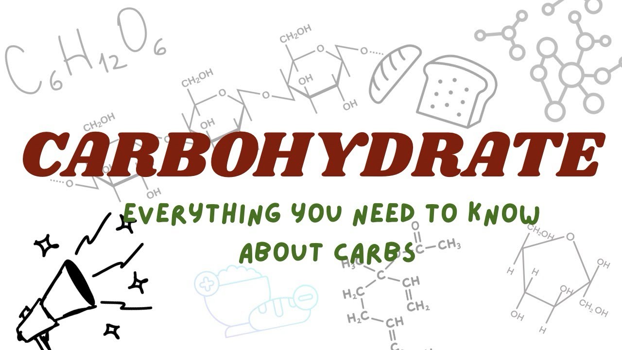 Carbohydrate for beginners 