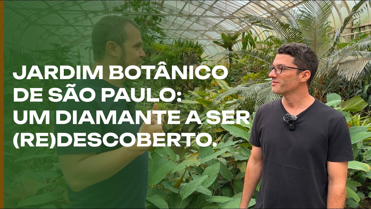 Jardim Botânico São Paulo: um tesouro na selva urbana.