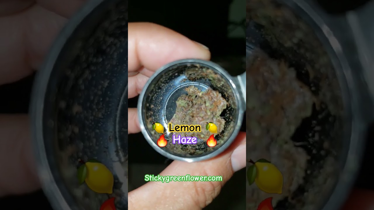Lemon Haze /Stickygreenflower.com -MacsPacks