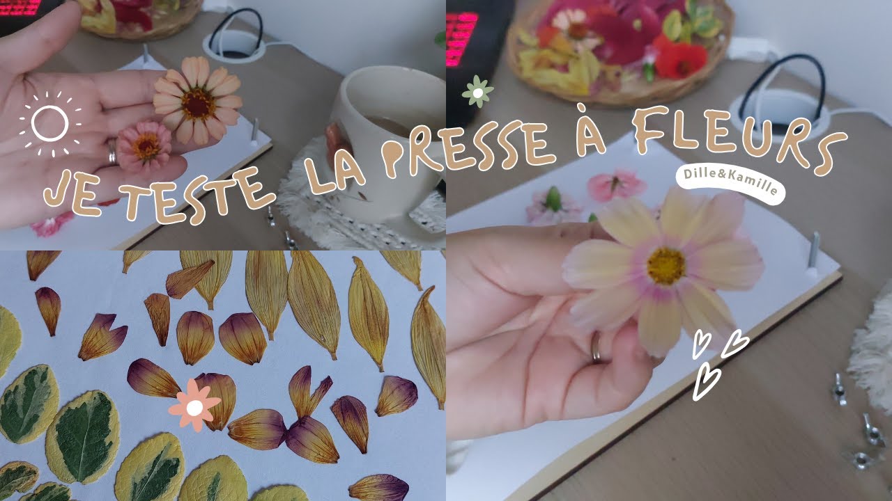 Je teste la PRESSE À FLEURS 🌸~ avec les fleurs de mon jardin.