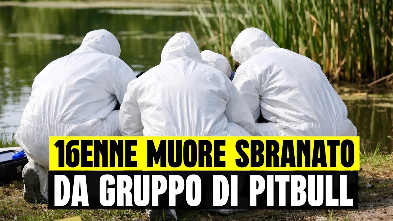 ULTIM'ORA 16ENNE MUORE SBRANATO DA GRUPPO DI PITBULL MENTRE STAVA PESCANDO: IL DRAMMA