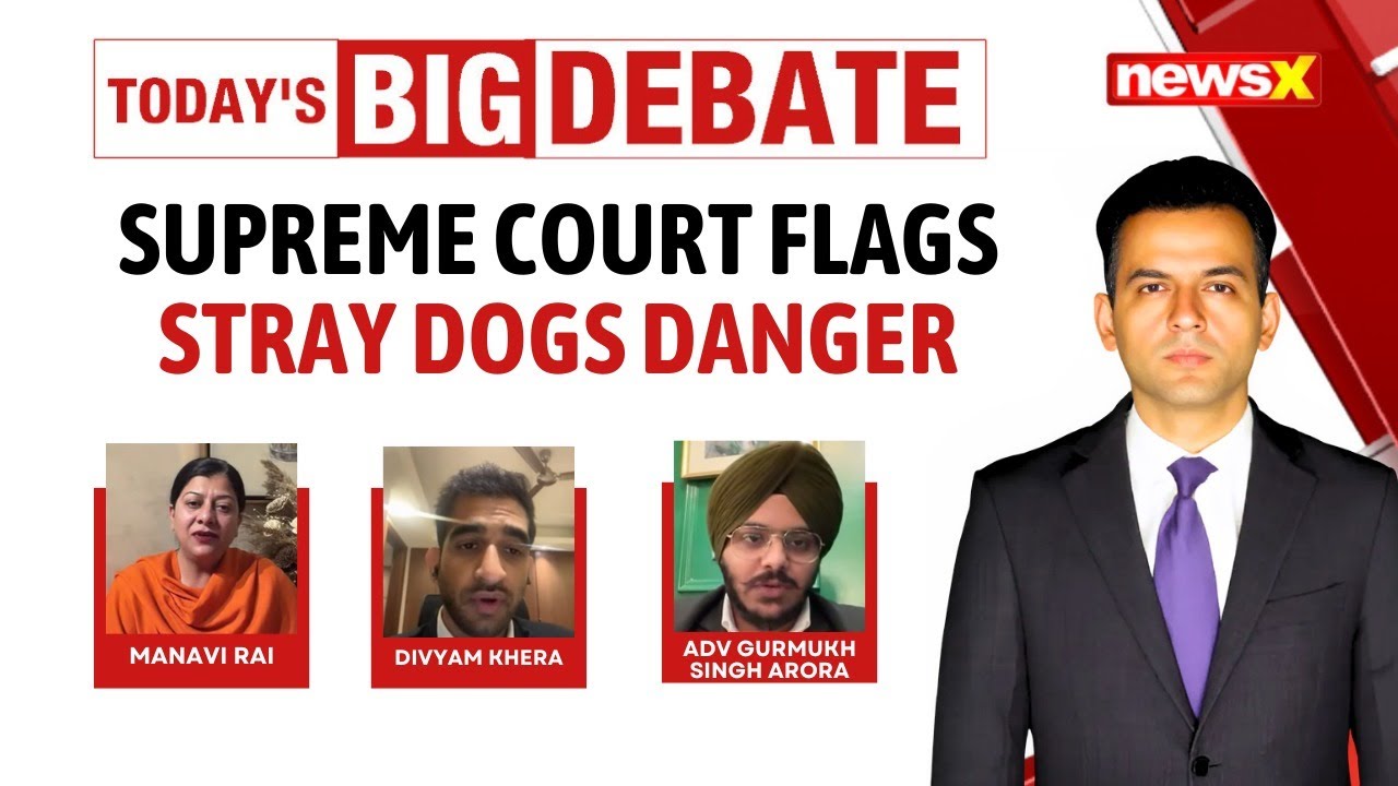 Supreme Court Emphasizes Strict Enforcement In Stray Dogs Case | Latest News | NewsX
