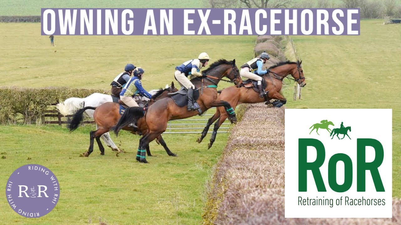 Retraining a Thoroughbred Racehorse | An Interview With Retraining of Racehorses Organisation