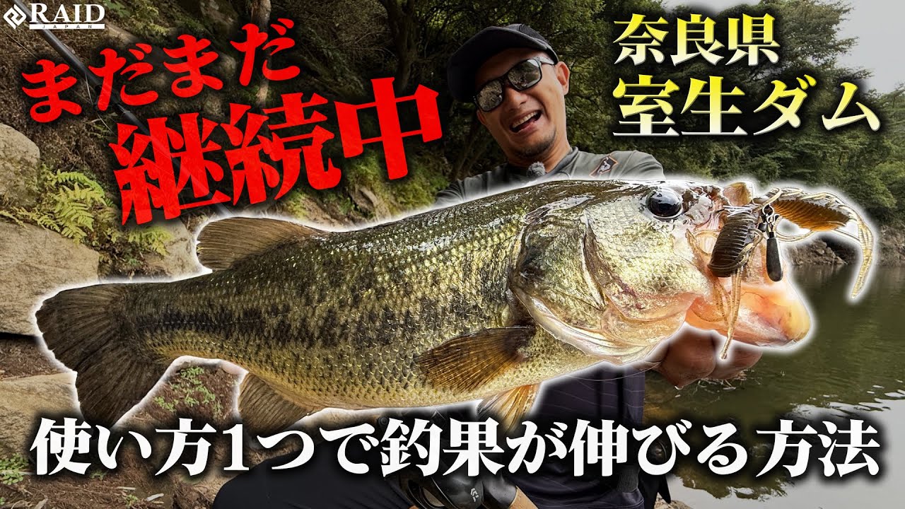 【RAID JAPAN】奈良県/室生ダム&rdquo;まだまだ継続中&rdquo;使い方1つで釣果が伸びる方法/岡 友成