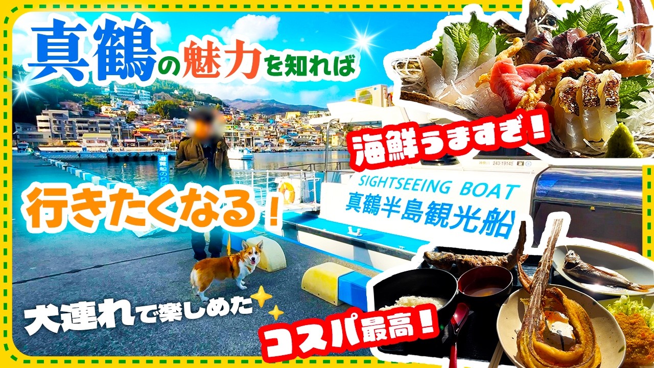 【犬連れ神奈川観光】超穴場・真鶴の魅力知ってた？！|絶品海鮮ランチ・遊覧船・三ツ石