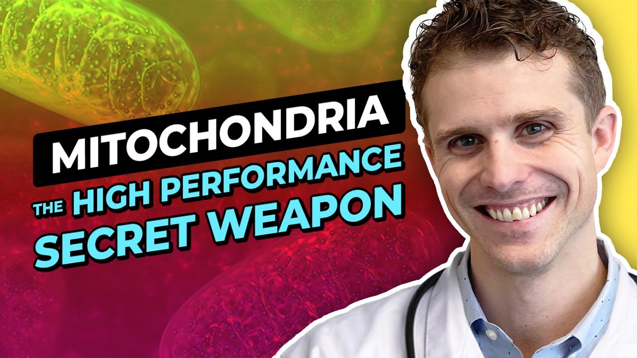 Heal Your Mitochondria in 60 Days using This Revolutionary Protocol