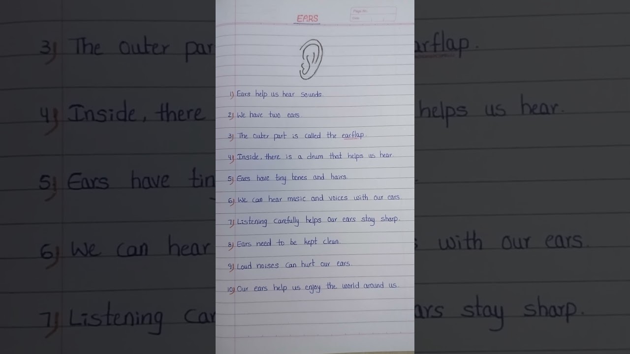Ears Essay in English|10 lines about Ears Essay| Ears Essay| Few lines on Ears| Ear Diagram|