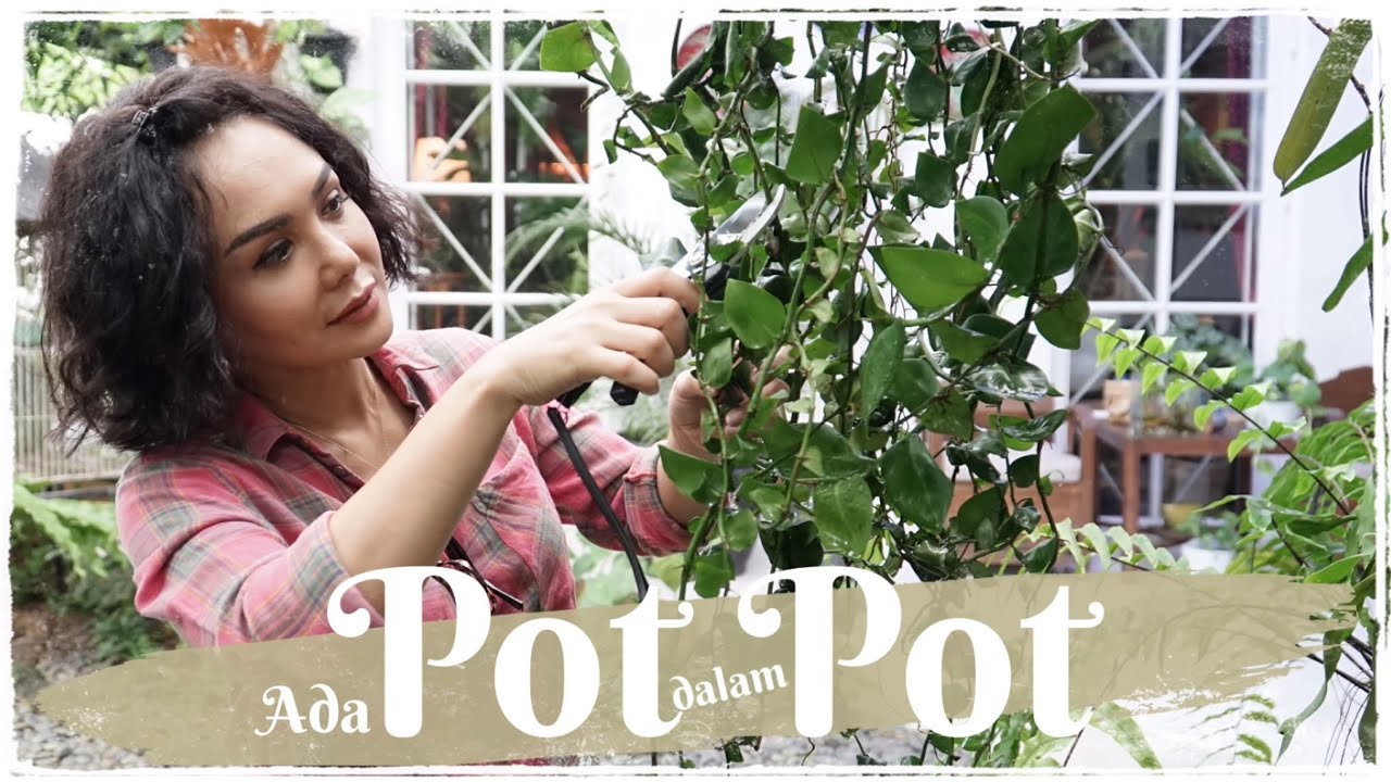 ADA POT DALAM POT (jungle house)