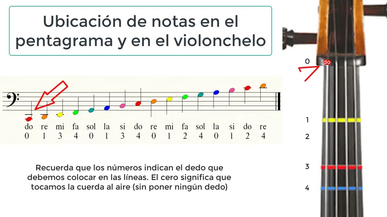 Ubicación de notas en el violonchelo y en el pentagrama.