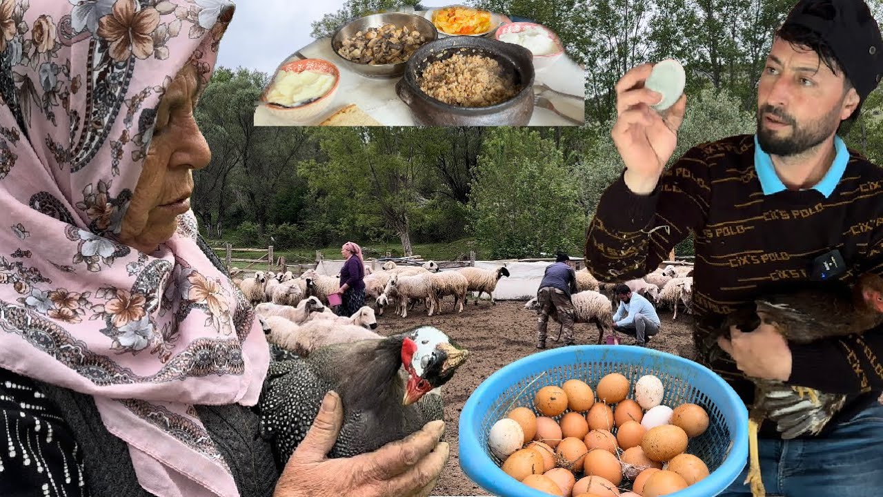 ЛЕТУЧИЙ ЦЫПЛЕНОК МЕРТВ!!! МЫ СЪЕЛИ ПЕРВЫЙ ГРИБ В ЭТОМ ГОДУ / МЫ НАШЛИ КОРЗИНУ ЯИЦ