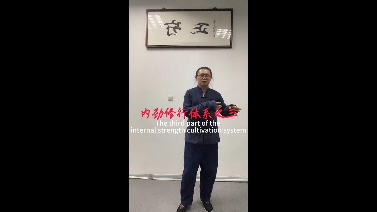 内劲修行体系之三 #kungfu #martialarts #chineseculture #内劲 #太極拳 #武術
