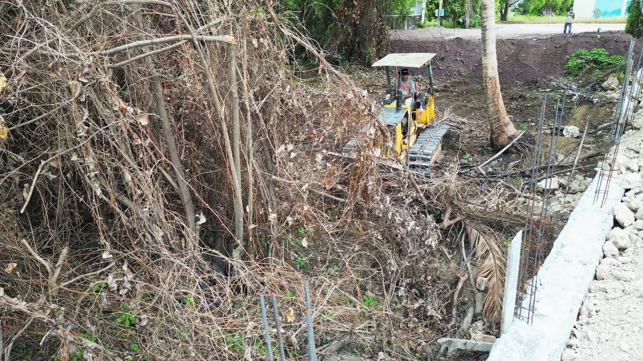 Excellent Skills Bulldozer D20P Clearing Tree Before Land Filling Up With 5T Trucks Team Dumping