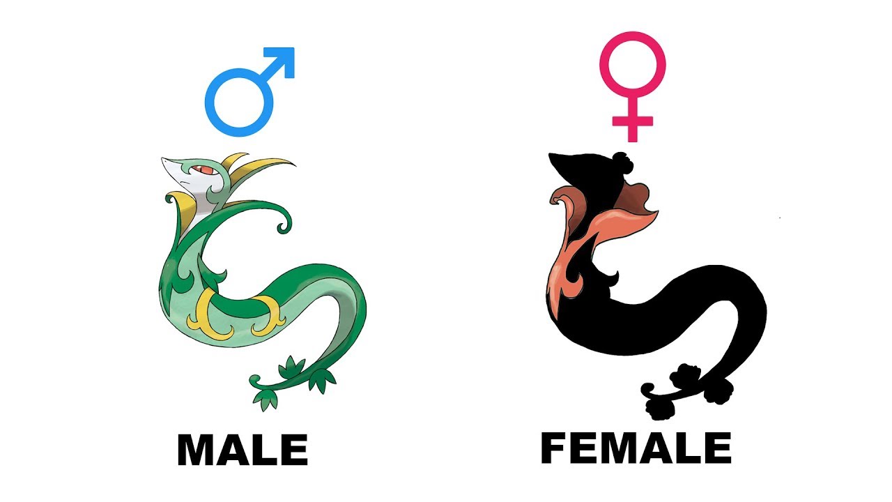 Snivy Servine Serperior Gender Difference Fanart