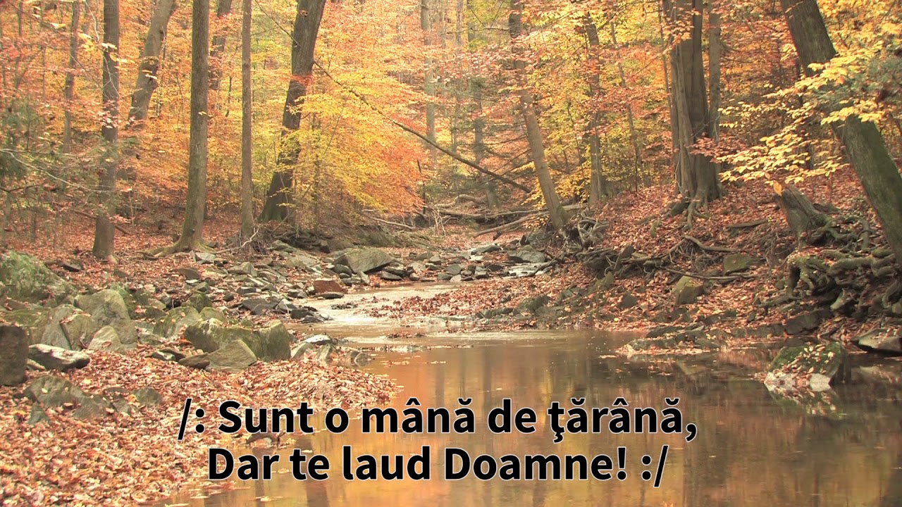 Luiza Spiridon & Vili Dulă - Sunt o mână de tărână