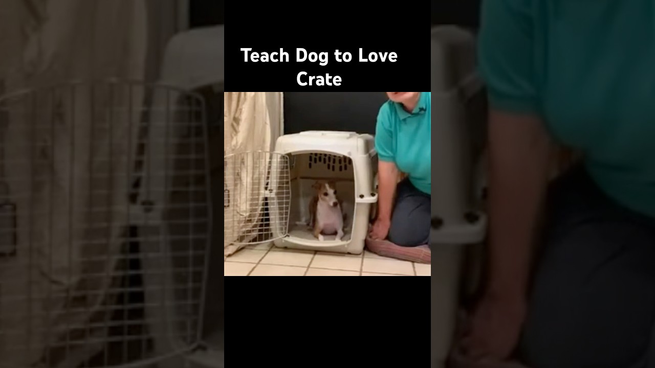 Best Trick to Crate Train Your Puppy Fast