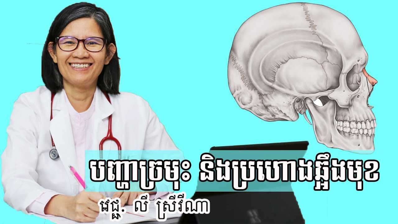 បញ្ហាច្រមុះ និងប្រហោងឆ្អឹងមុខ ៖ ដោយវេជ្ជបណ្ឌិត លី ស្រីវីណា