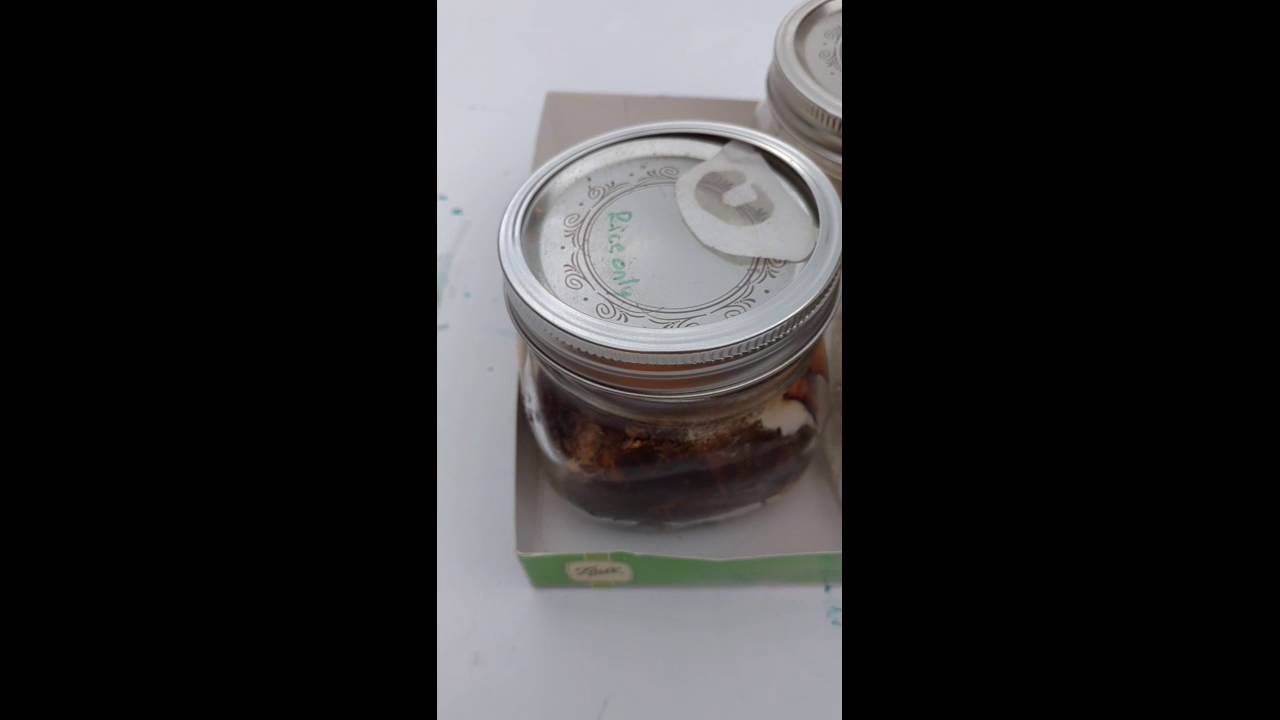 Chaga Grow Project September Update