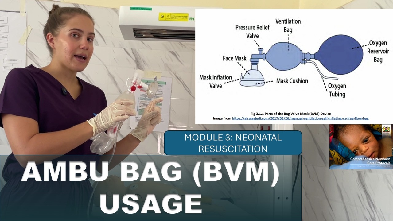 Ambu Bag (BVM) Usage | Neonatal Resuscitation Lesson 3