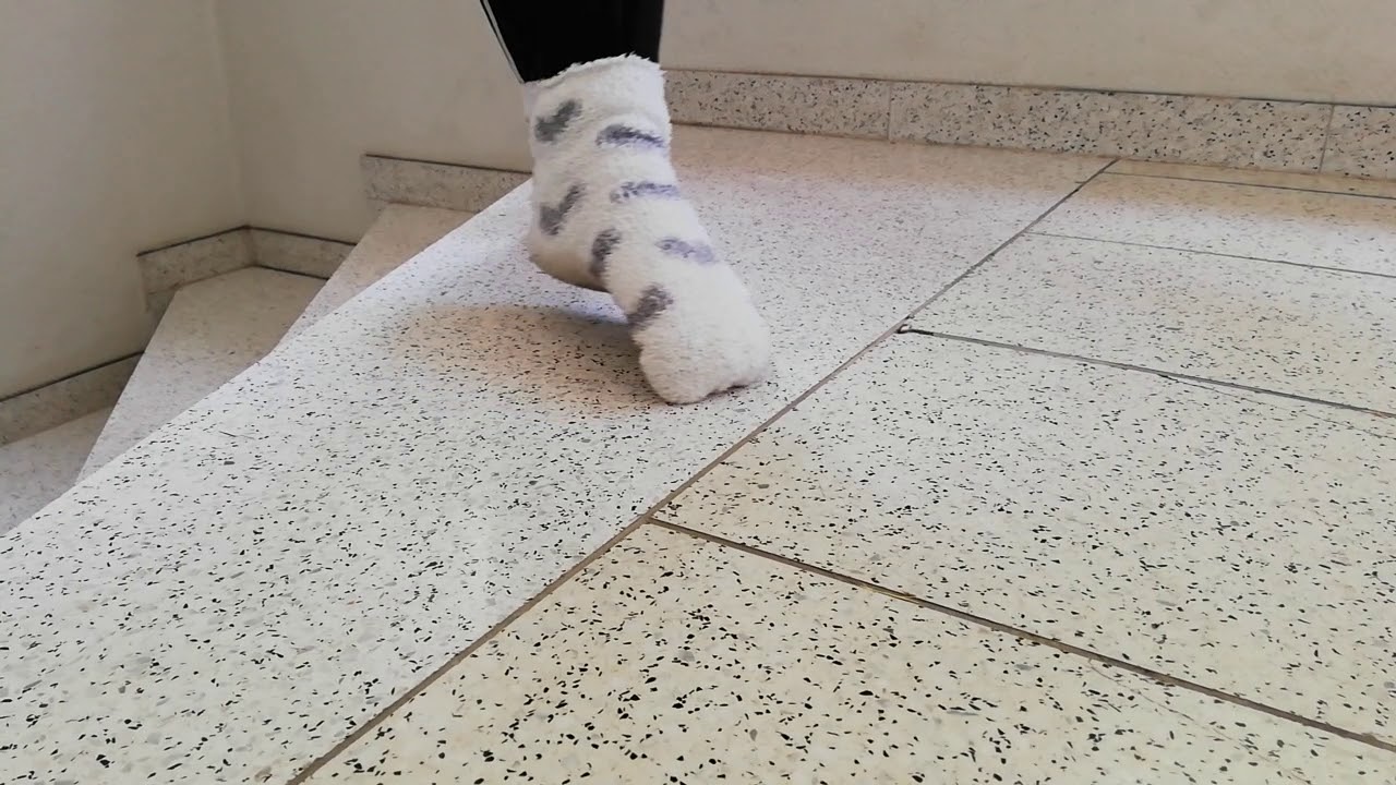 My dirty fuzzy socks