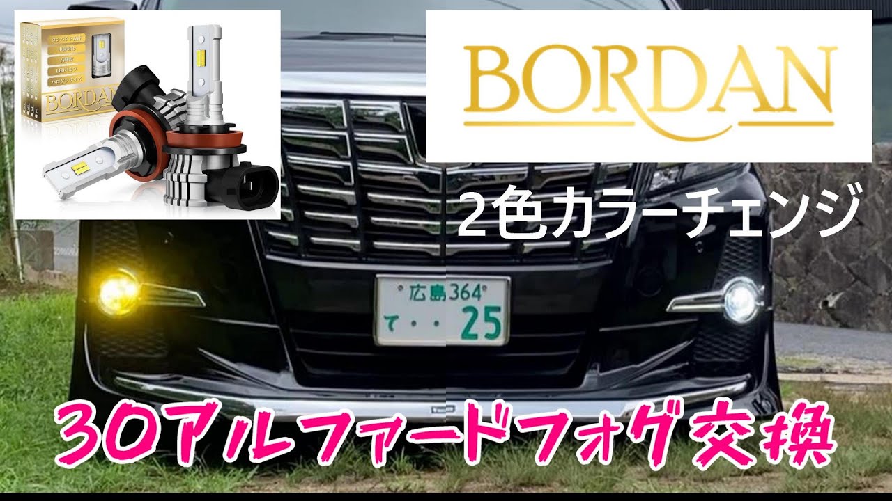 【BORDAN】激安‼️爆光‼️なのに美しい光 ✨2色切り替えLEDバルブを30アルファードで試してみたよ #BORDAN #ボルダンLED #30アルファード