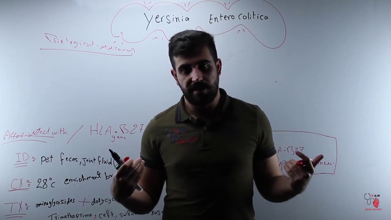50 Yersinia Enterocolitica 1