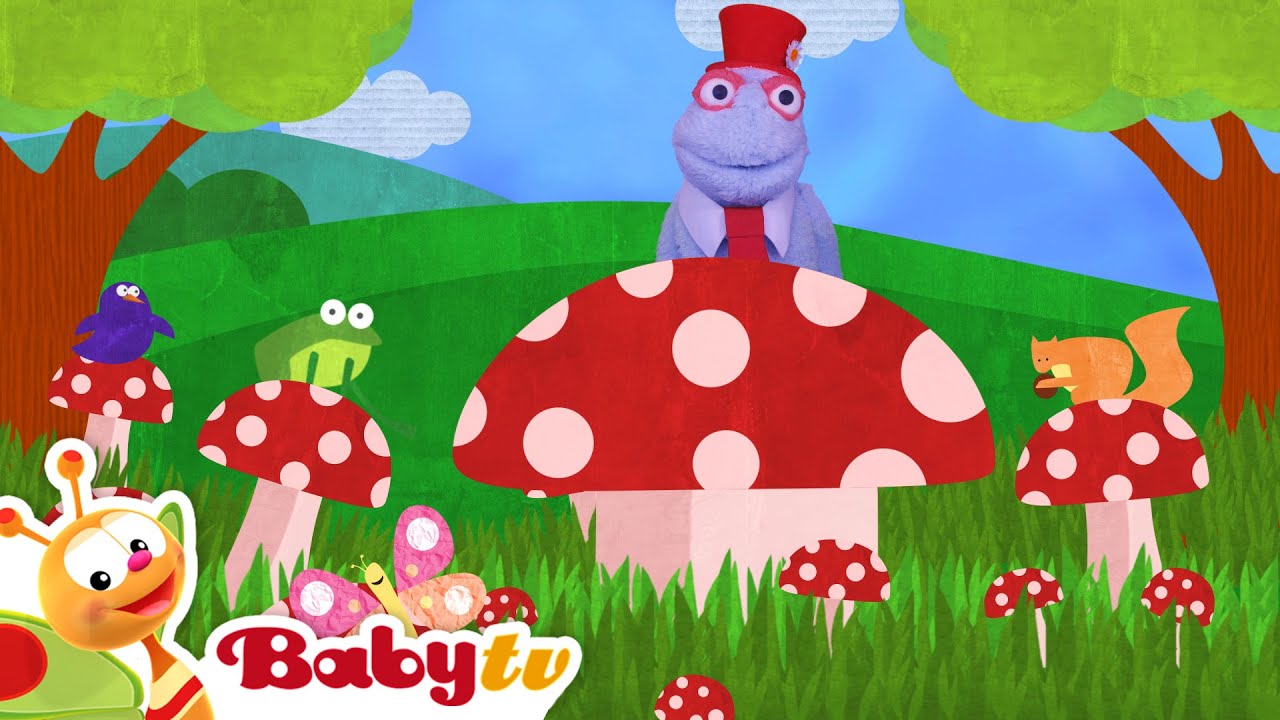 Red, Blue, Green, Cars, Trucks and More! Funny Kids Video @BabyTV