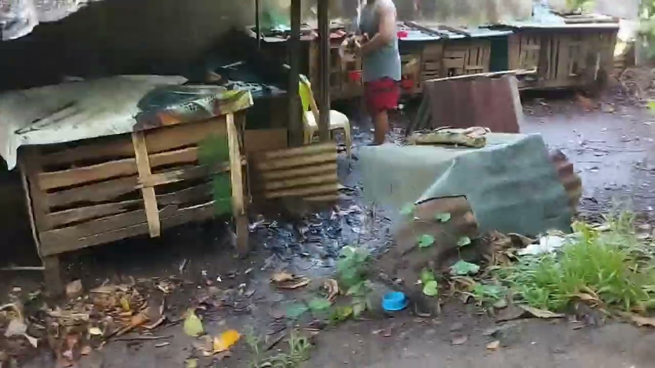 MIKE RAŇOA BACKYARD BREADER #litodolosa#manokpangsabong 