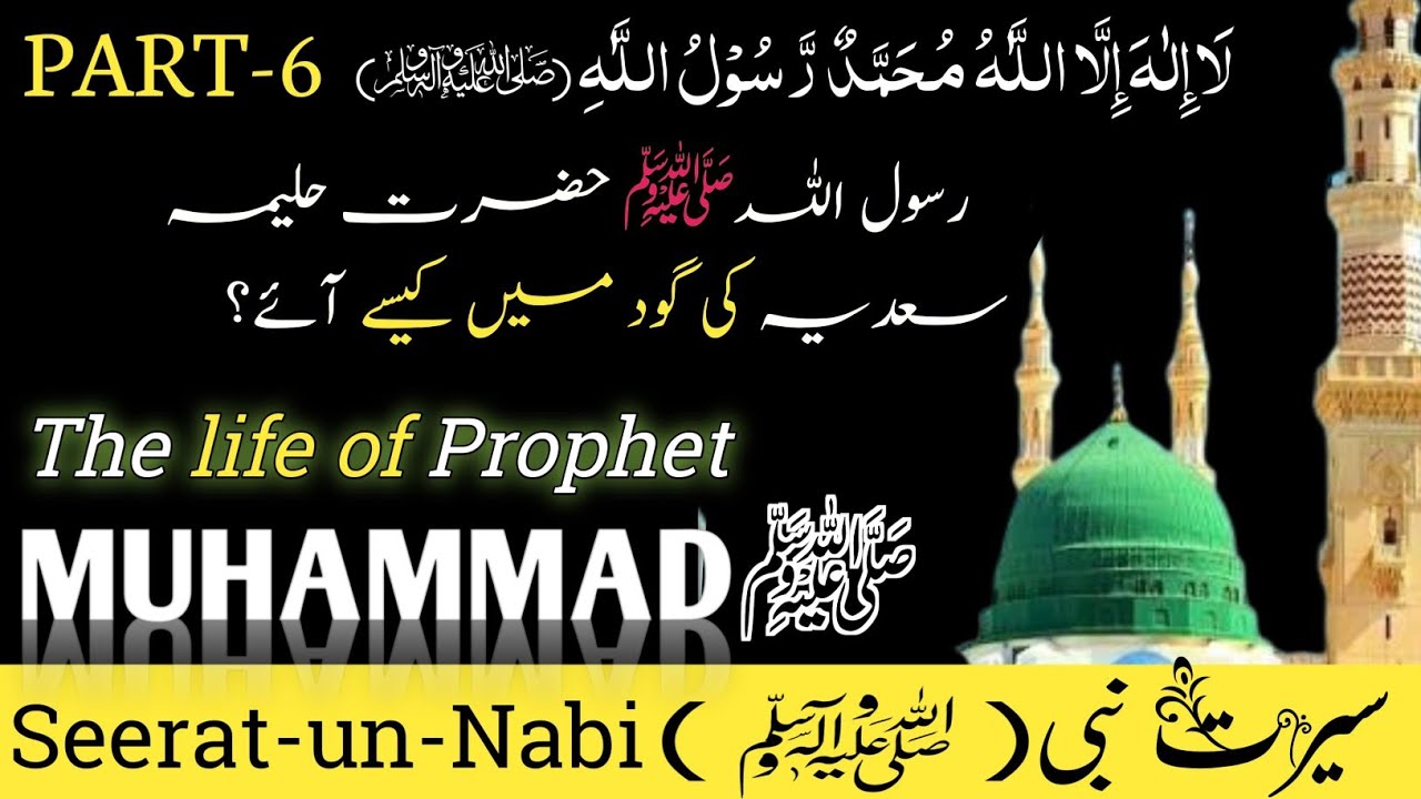 How dDd You Come Into The lap Of Hazrat Halimah Saadia❓️ // Biography of the Muhammadﷺ Last Prophet