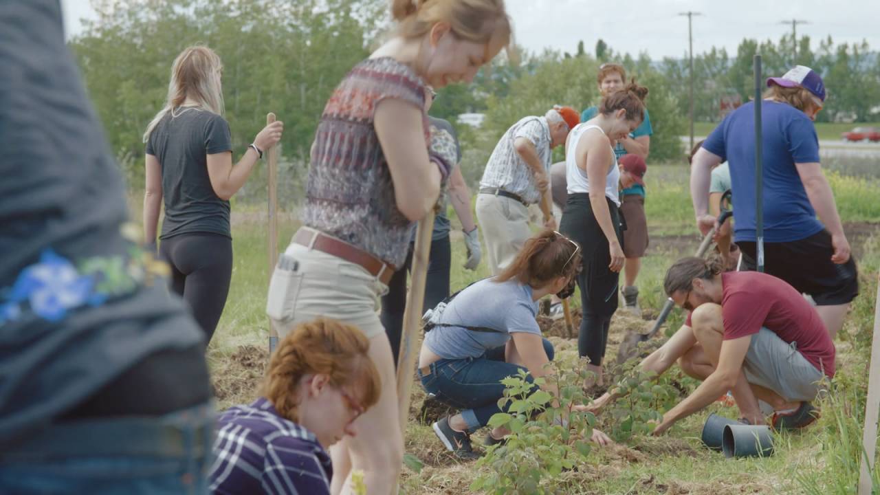 REAP Grow Calgary Sponsorship Video by Hotel Arts