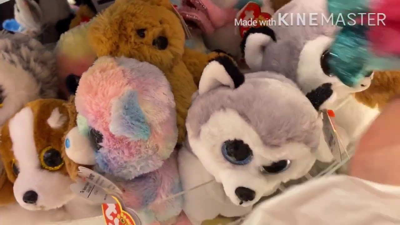 First time going beanie boo shopping in Stores 2020! ( Beanie boo 16)