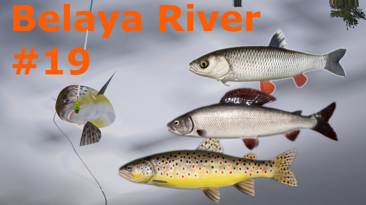 Russian Fishing 4 RF4 19 | Belaya River SPOT | Grayling, brown trout, chub / Lipienie i Pstrągi kleń