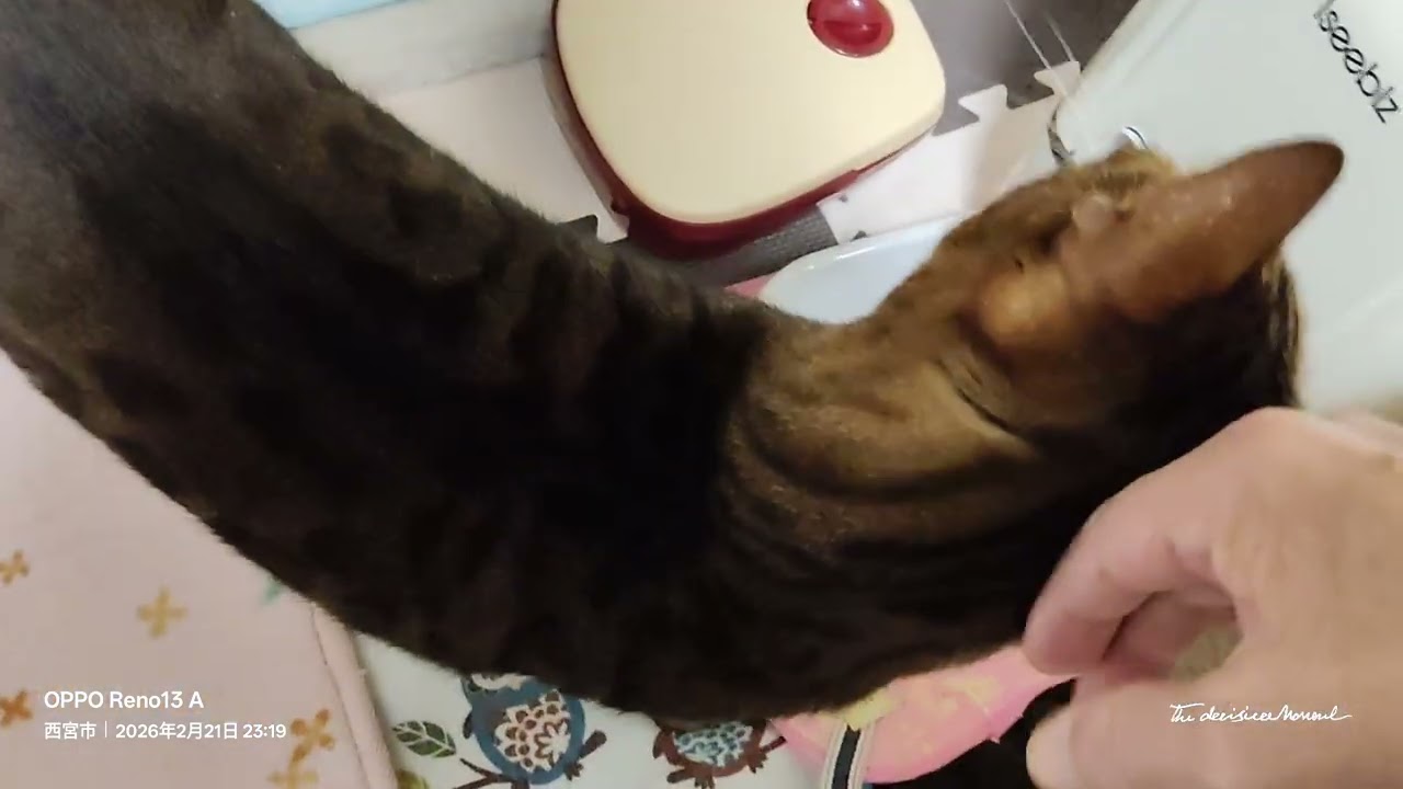 深夜食堂その4