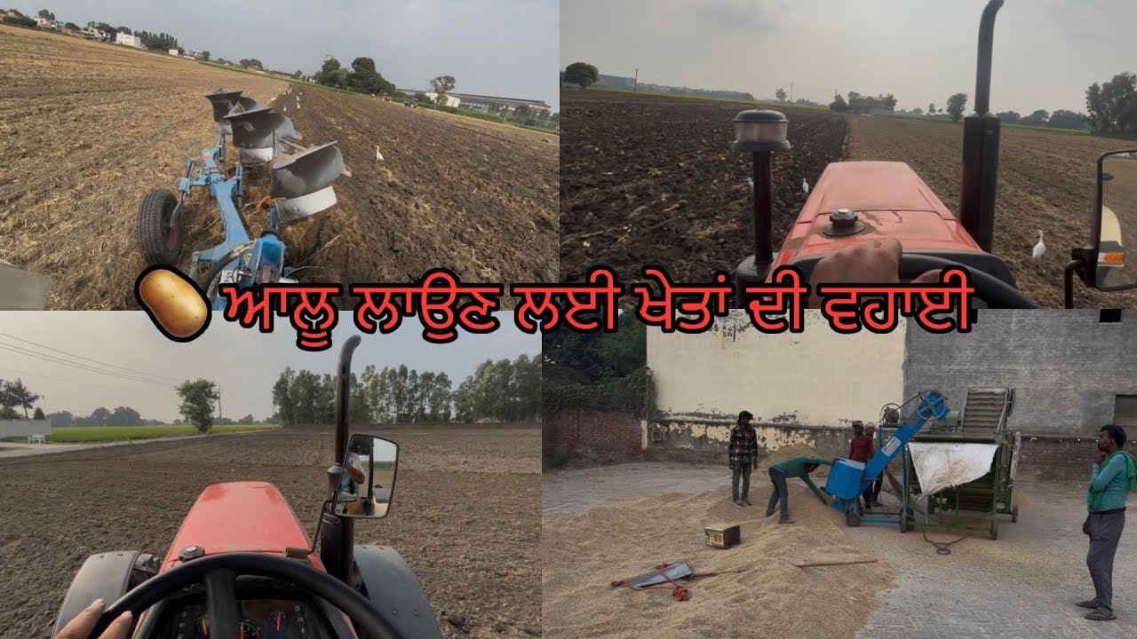 ਜੀਰੀ ਤੋ ਬਾਅਦ 🥔 ਆਲੂ ਵਾਲੇ ਖੇਤ 🚜  ਕੀਤੇ ਪਲਾਉ // ਮੰਡੀ ਚ ਜੀਰੀ ਨੂੰ ਲਵਾਇਆ ਪੱਖਾ // 🙏