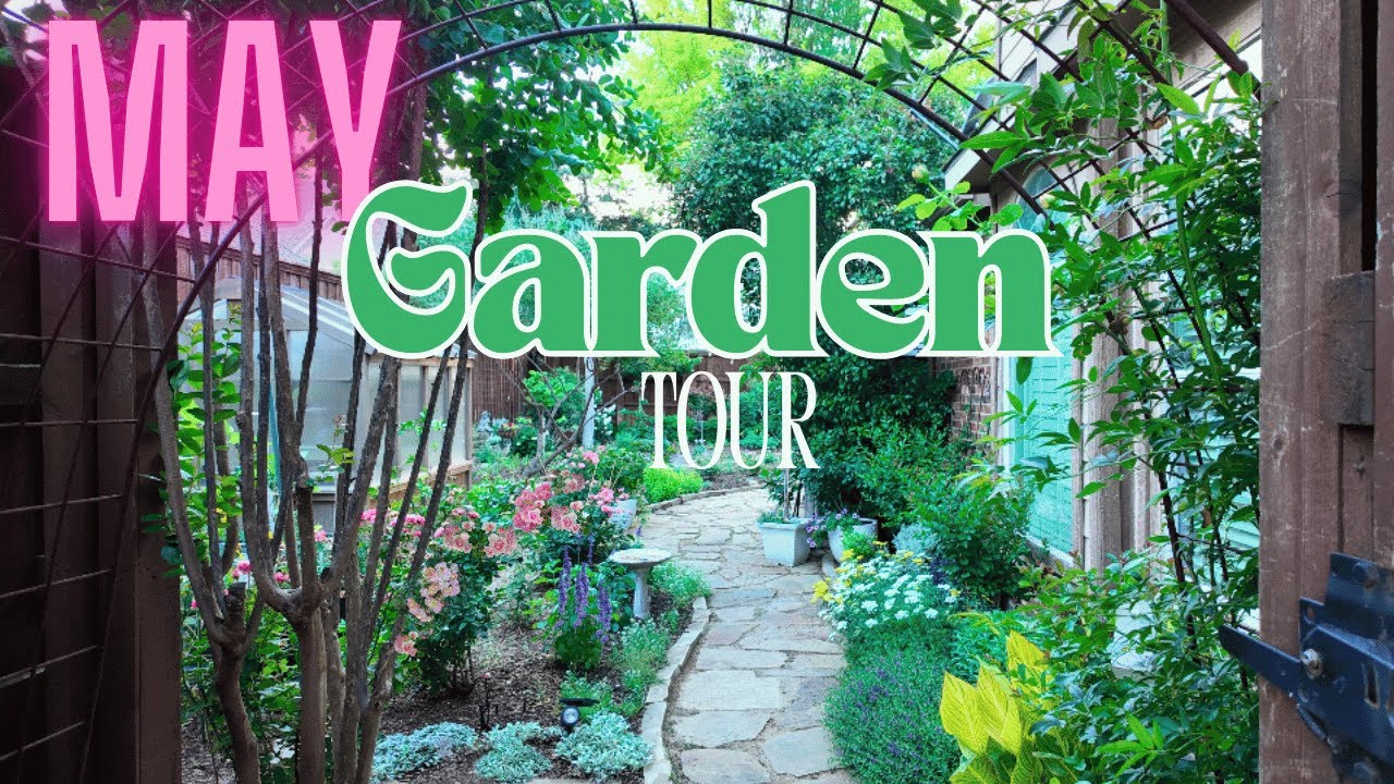 🌼MAY GARDEN TOUR '25 | What’s Growing in My Garden This Month?  | Texas Native and Perennial Plants