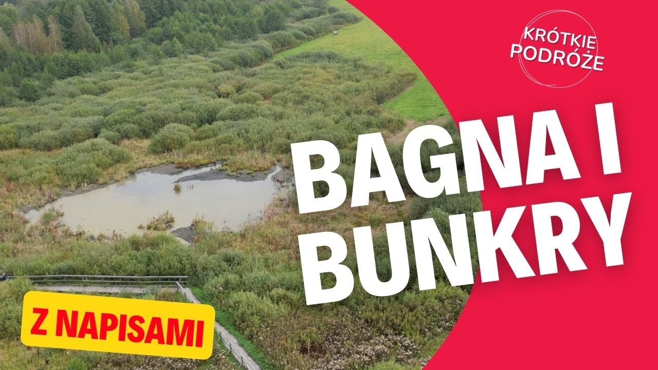 Bagno Całowanie, Bagno Bocianowskie i bunkry na Dąbrowieckiej Górze - Krótkie Podróże z napisami