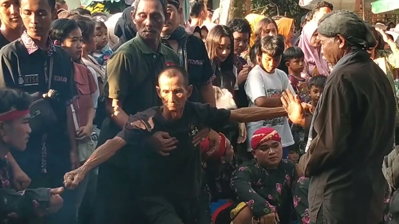 Banyak yg TUMBANG‼️Janturan Sasi Suro Krido Turonggo Sekar Budoyo