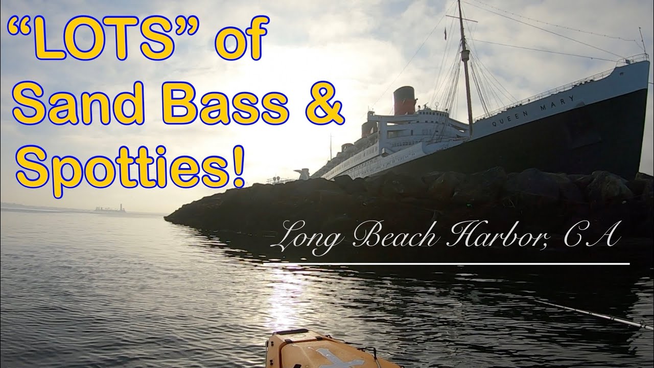 Lots of Sand Bass and Spotties. Long Beach Harbor, CA 2/15/2020