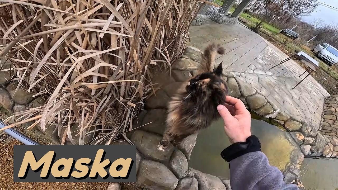 Maska - U Polaka na Krymie dzień kolejny