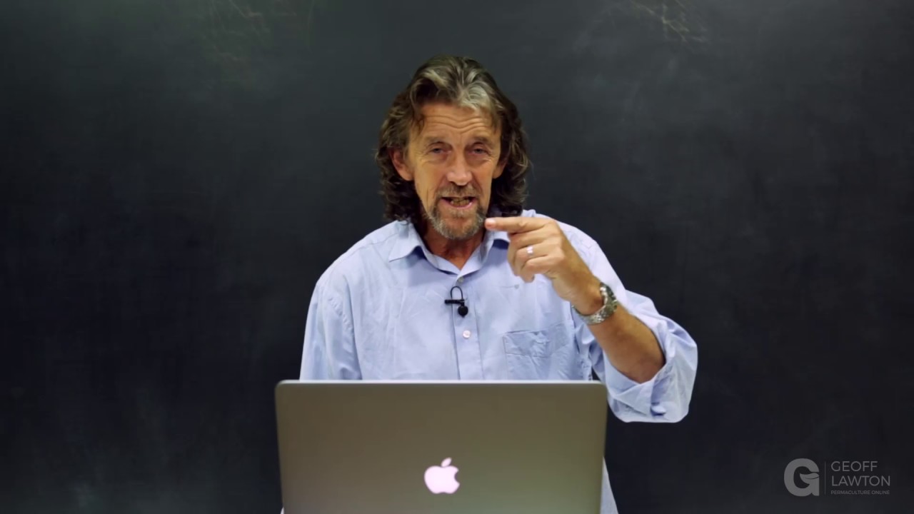 Q&A: Permaculture in Hot Arid Climates