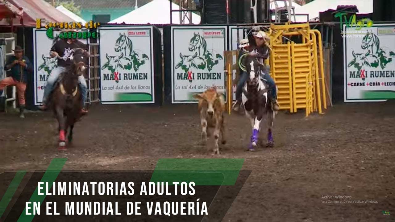 Eliminatorias Adultos en el Mundial de Vaquería - TvAgro por Juan Gonzalo Angel Restrepo
