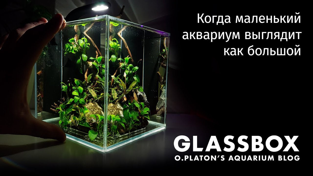 Когда маленький аквариум выглядит как большой
