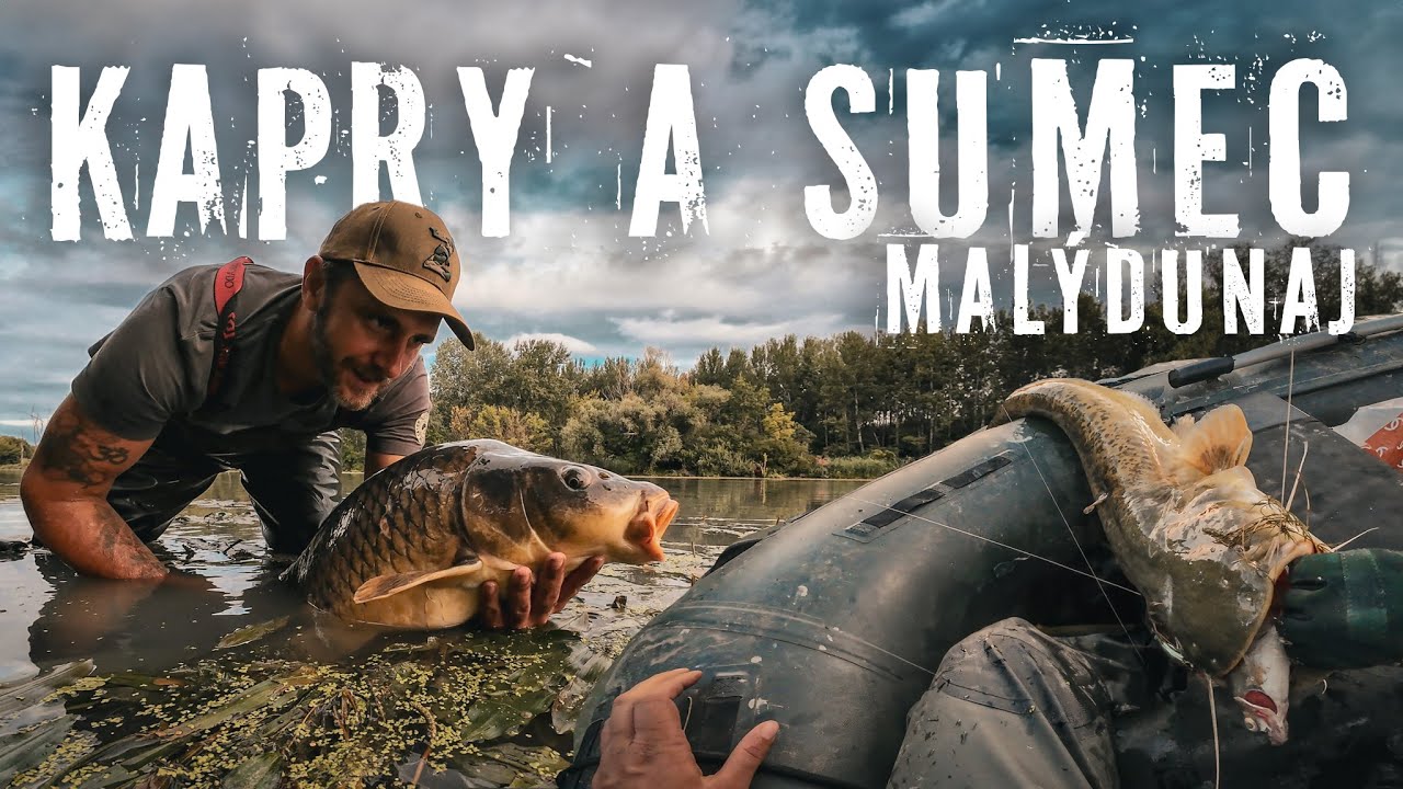 Malý dunaj - riečny Kapor a Sumec - ReWik Rybárske videa