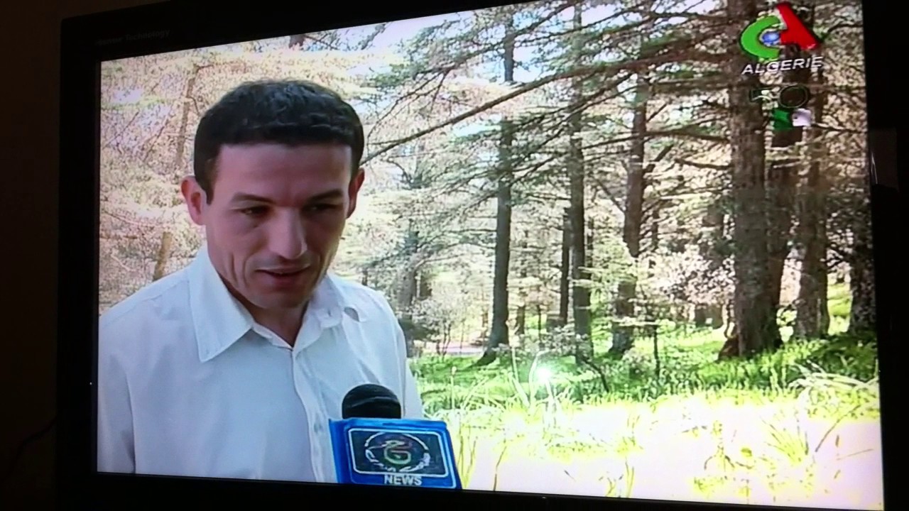 parc national Theniet el had _Ouar Djelloul3