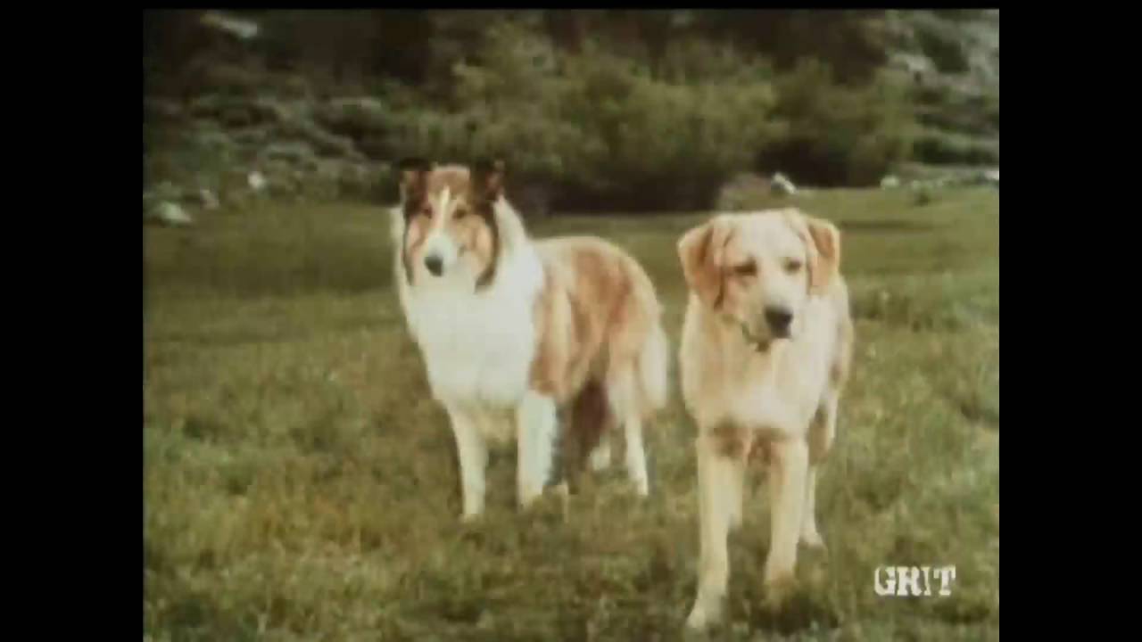 Lassie - Episode #453 - 