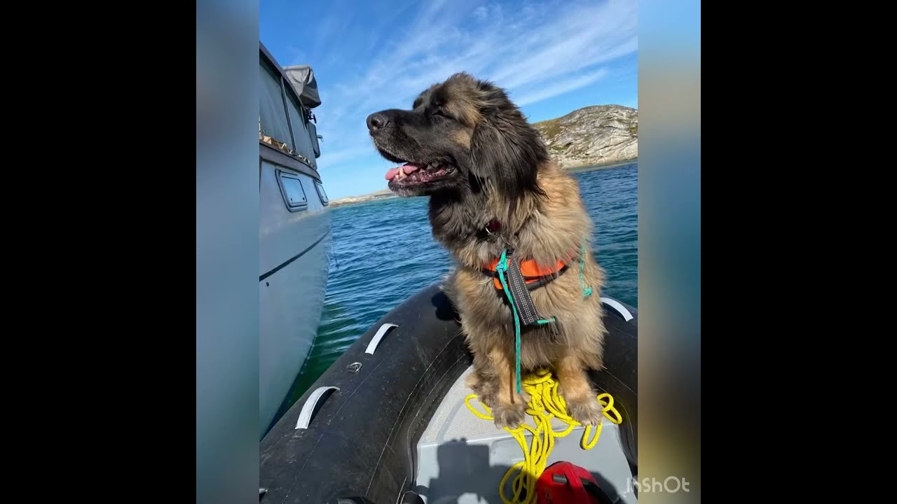 Nauticat 38 S/Y Nina to Helligvær