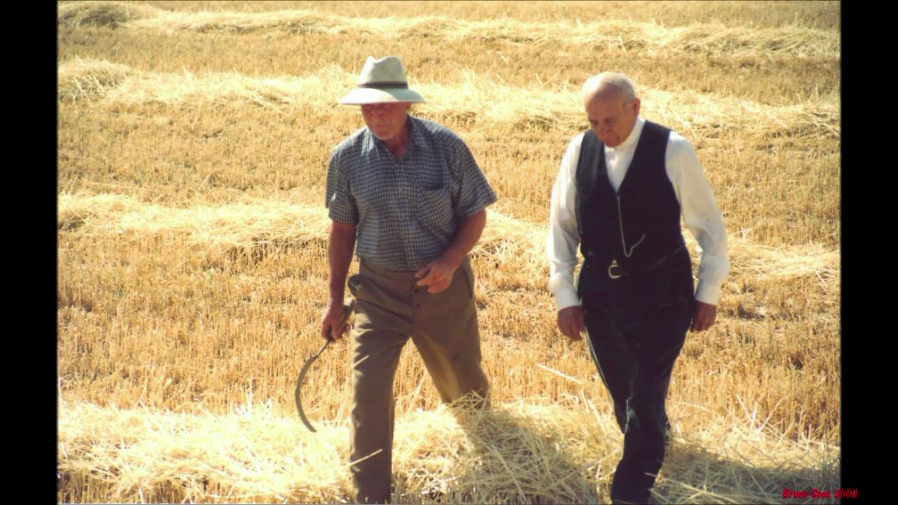 SEGADORES GALLEGOS EN CASTILLA