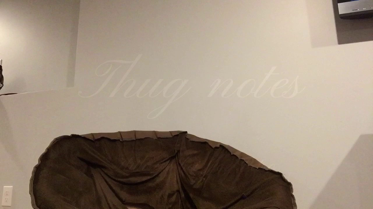 Thug notes w/ ya boy Joe Petrocelli